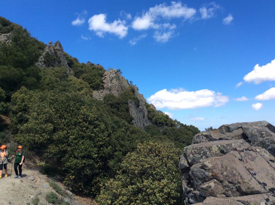 Τεισιά της Μαδαρής, Χανδριά