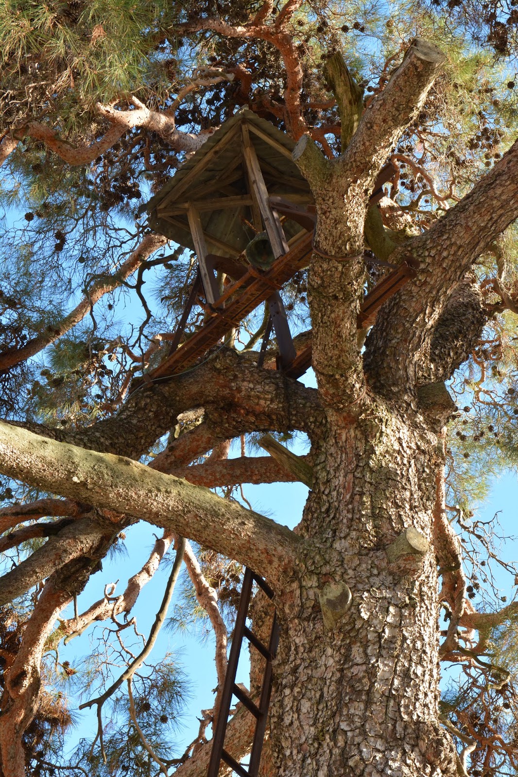 Ξύλινη κατασκευή με κουδούνι, Χανδριά