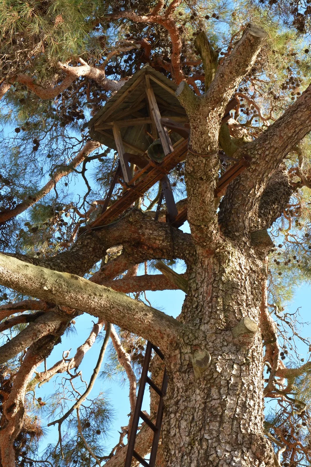 Ξύλινη κατασκευή με κουδούνι, Χανδριά